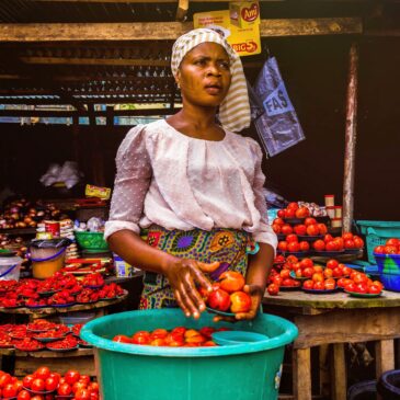 Anthropological Perspectives on Development: Insights from Africa